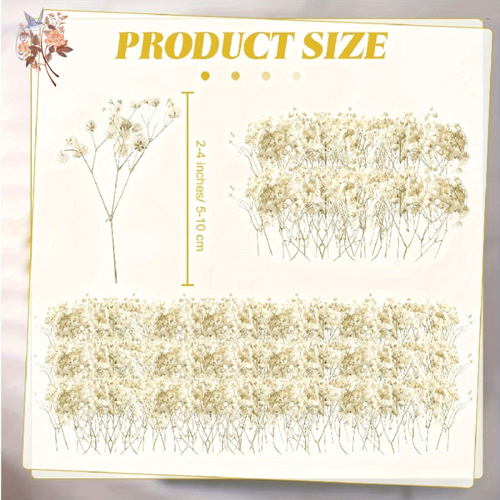 Mini fiore di gypsophila essic - Candle Making Uk recensione e prezzo