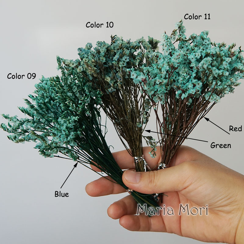 5g/Colorato Dired Preservato E - Candle Making Uk recensione e prezzo