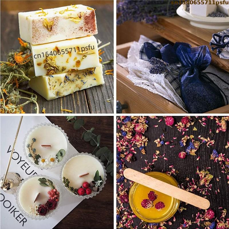 4 Tipi di Boccioli di Rosa Nat - Candle Making Uk recensione e prezzo